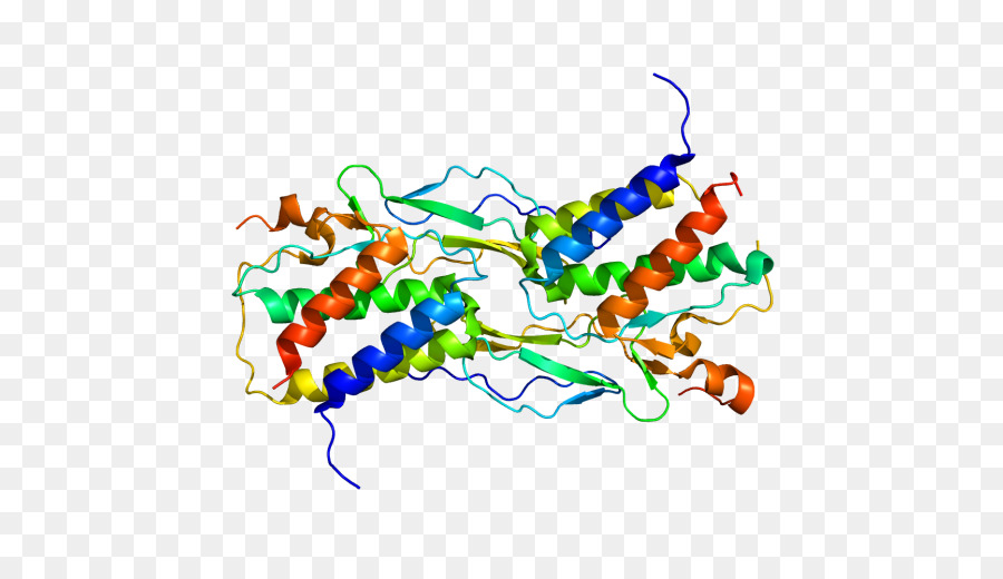 Structure Des Protéines，Molécule PNG