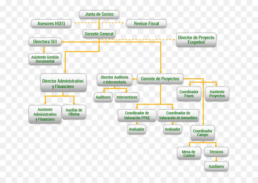 Organigramme，Hiérarchie PNG