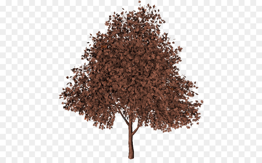 Arbre Rouge，Feuilles PNG