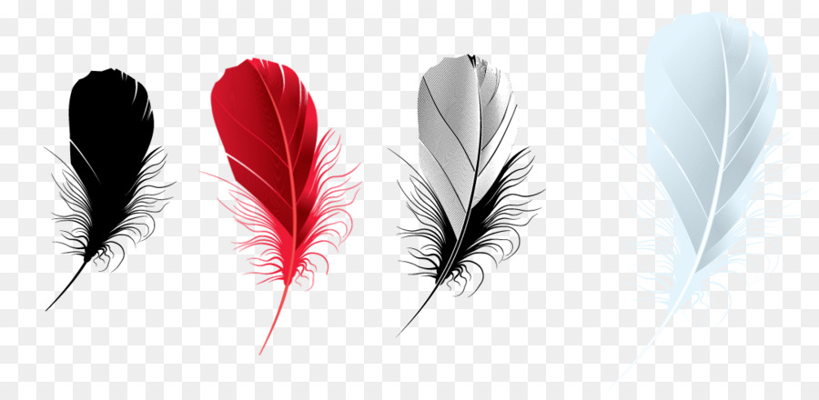 Plume，Photofiltre PNG
