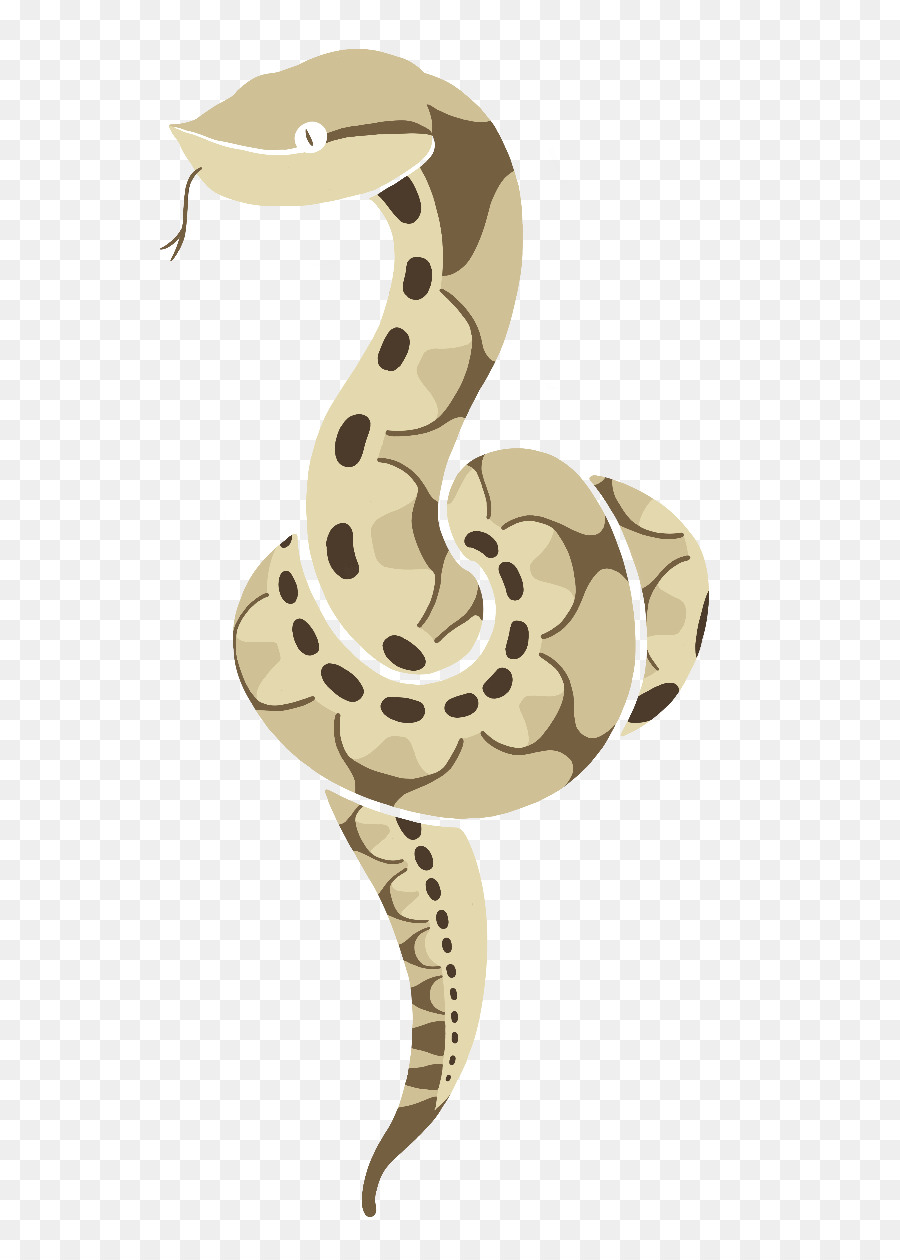 Boa Constrictor，Serpent PNG