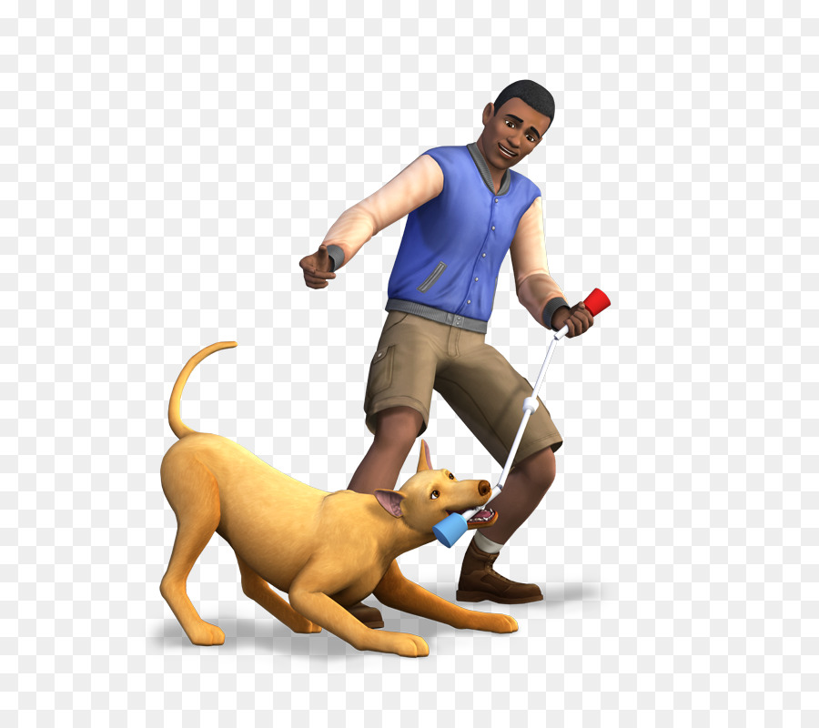 Homme Jouant Avec Un Chien，Animal De Compagnie PNG