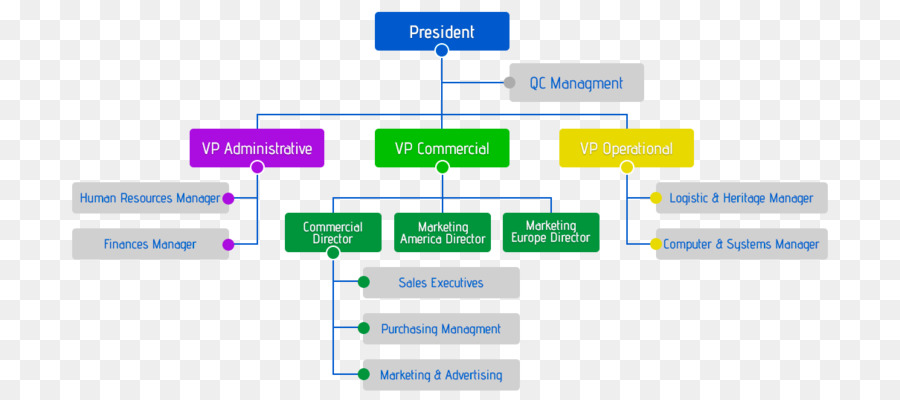 Organigramme，Organisation PNG
