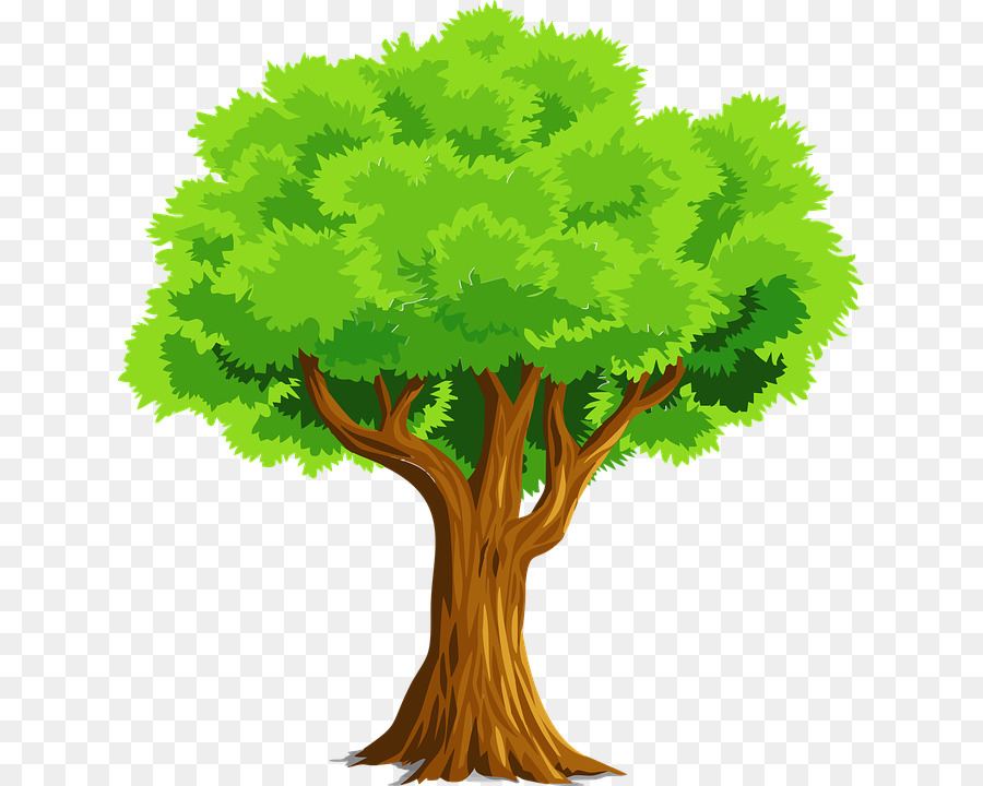 Arbre Vert，Feuilles PNG