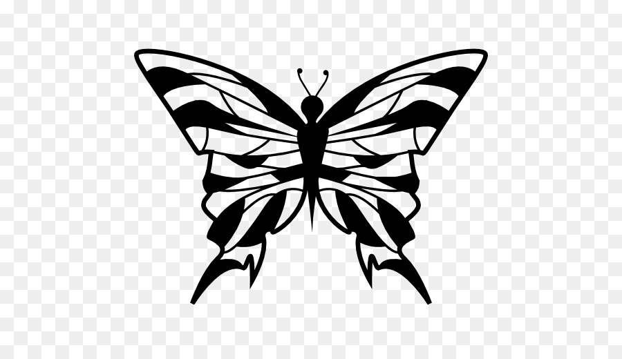 Papillon Noir，Insecte PNG