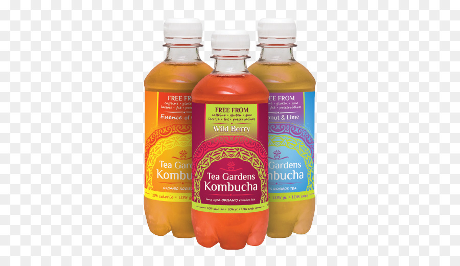 Kombucha，Les Jardins De Thé De Kombucha PNG