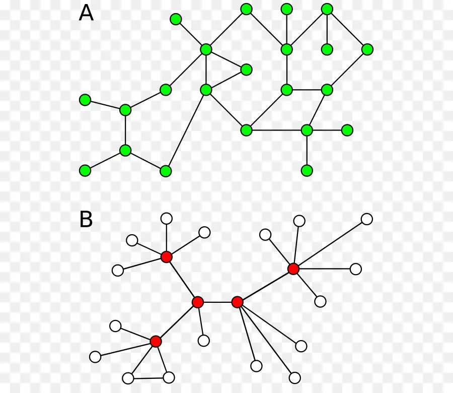 Diagramme De Réseau，Nœuds PNG