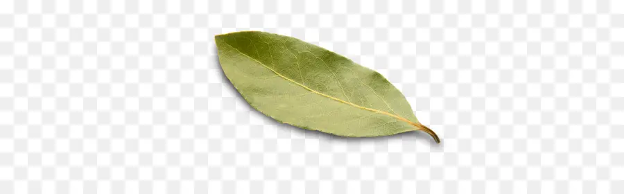 Feuille， PNG