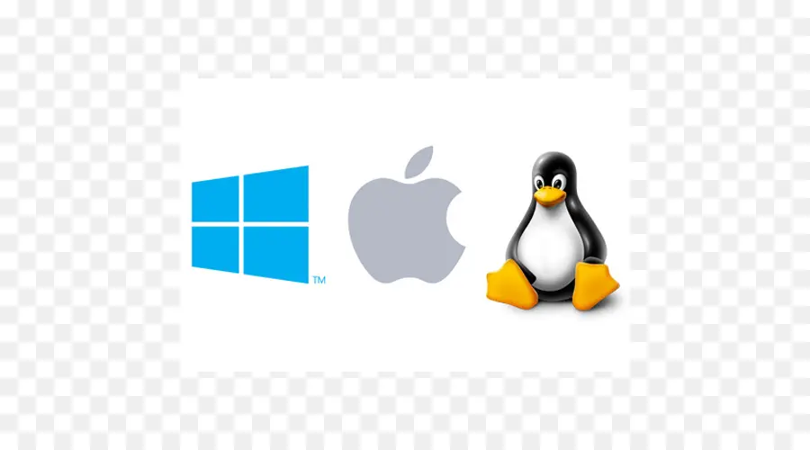 Linux，Sous Système Windows Pour Linux PNG
