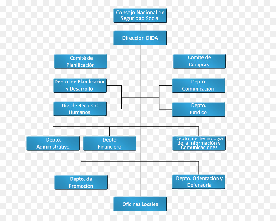 Organigramme，Organisation PNG