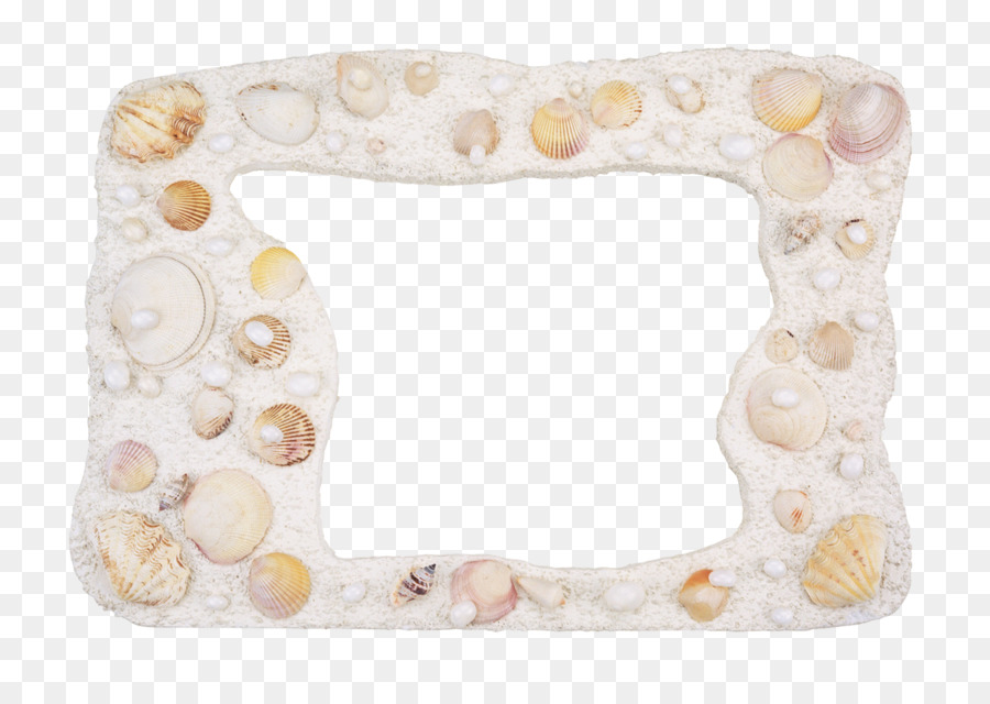 Cadre Photo，Coquilles PNG