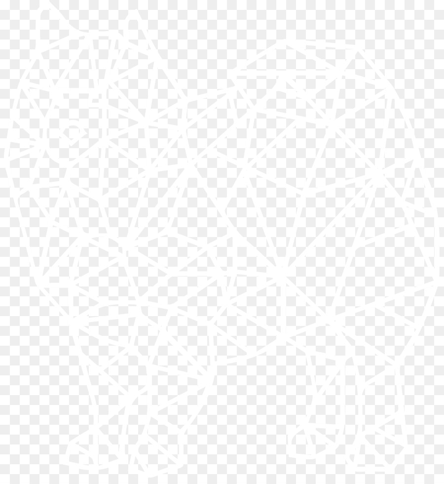 Flocon De Neige，Blanc PNG