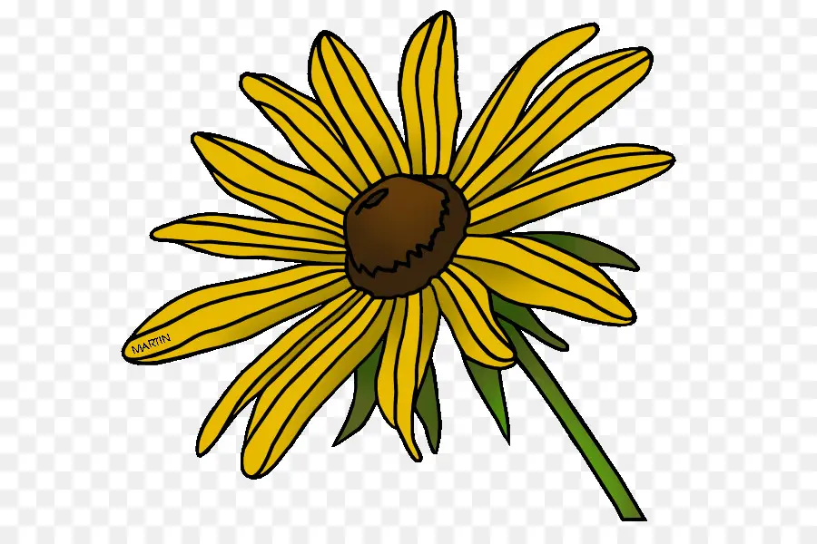 Tournesol，Jaune PNG