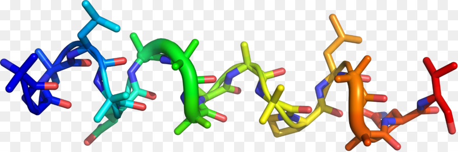 Hélice Protéique，Molécule PNG