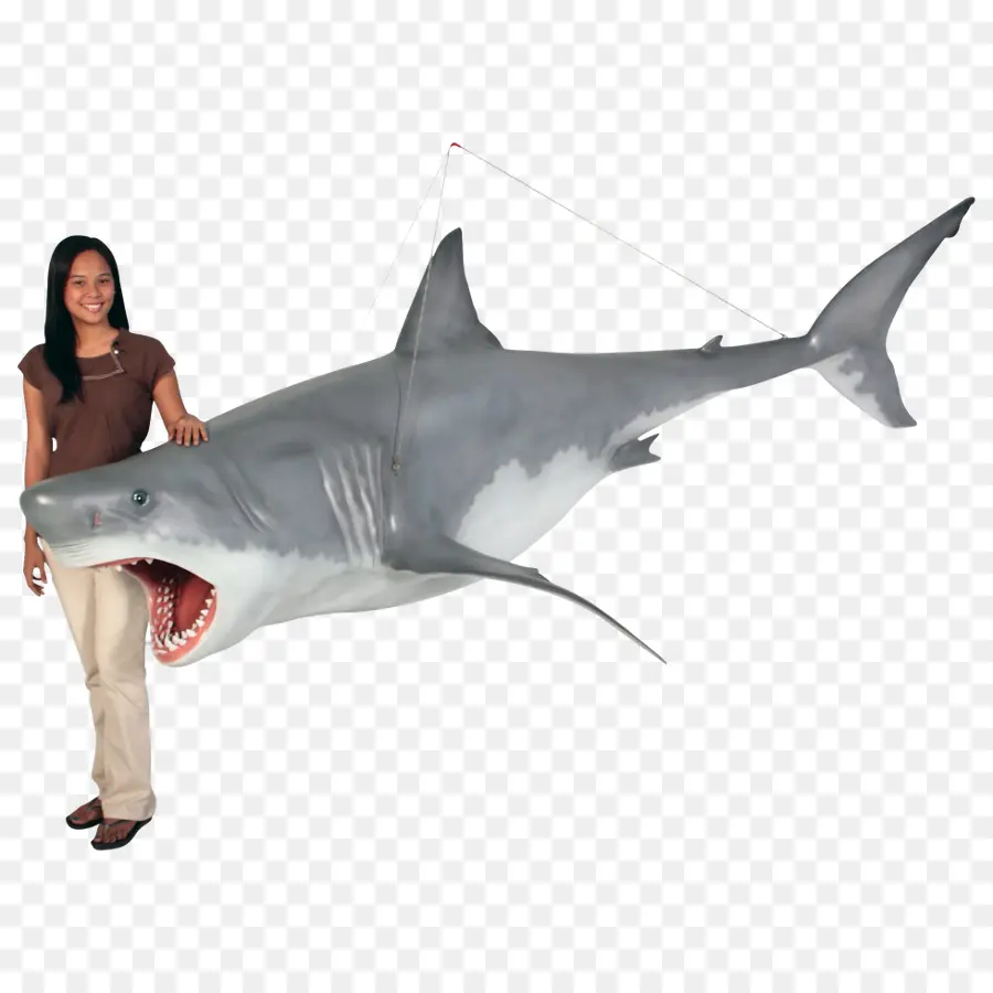 Requin，Femme PNG