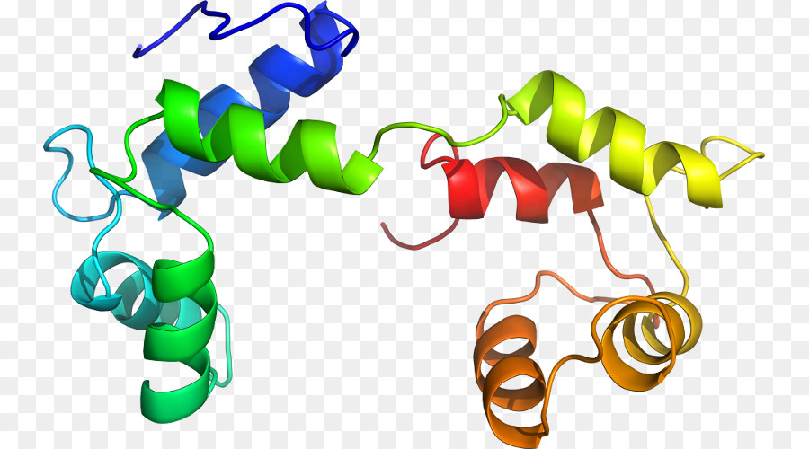 Hélice Protéique，Molécule PNG