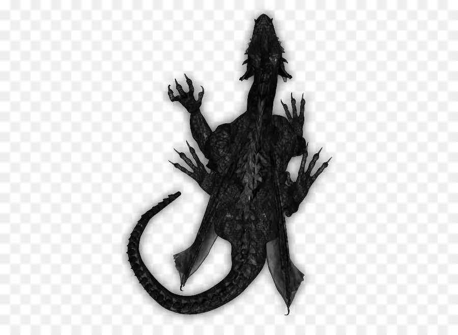 Dragon Noir，Fantaisie PNG