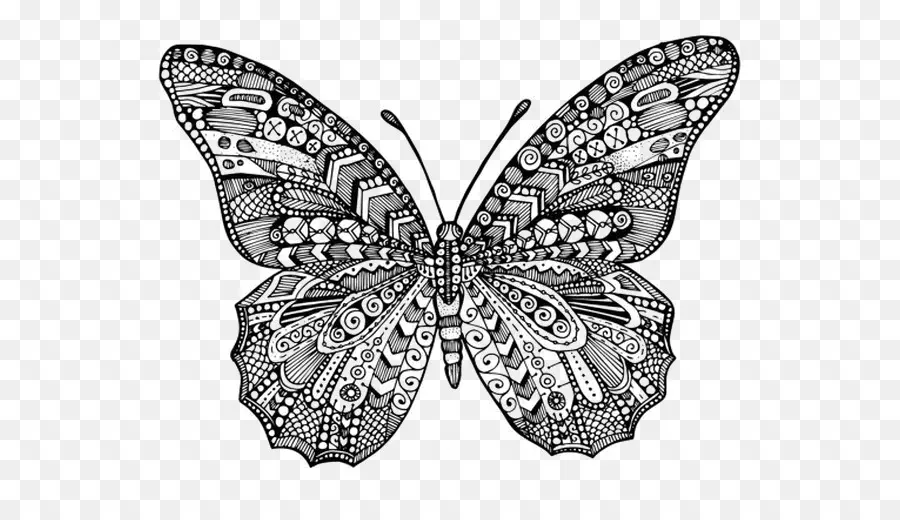 Papillon Monarque，Livre De Coloriage PNG
