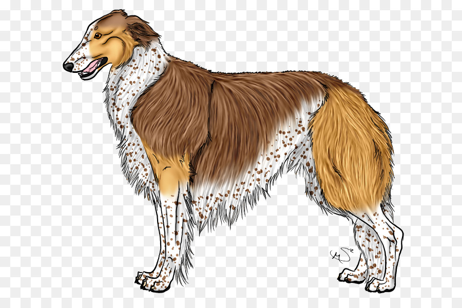 Barzoï，Silken Windhound PNG