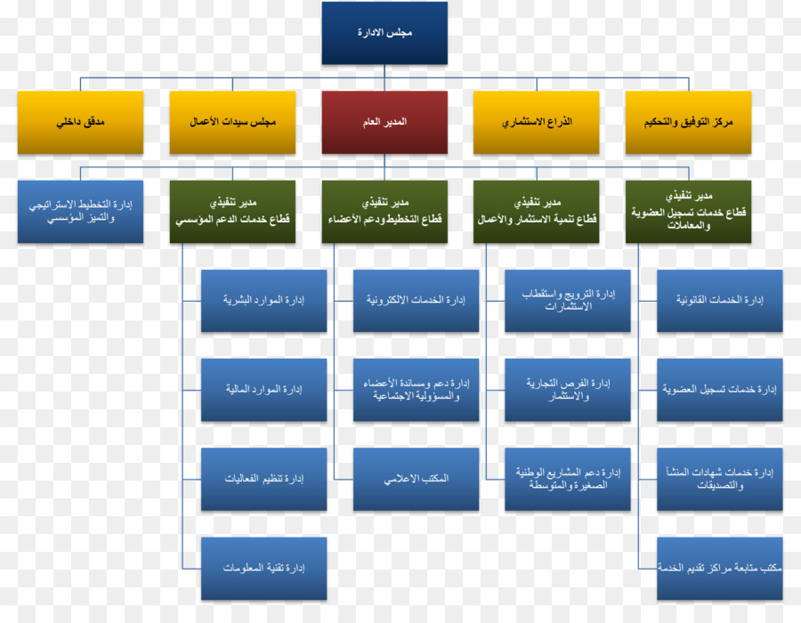 Organigramme，Organisation PNG