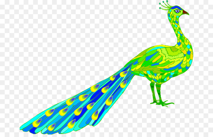 Paon Vert，Plumes PNG