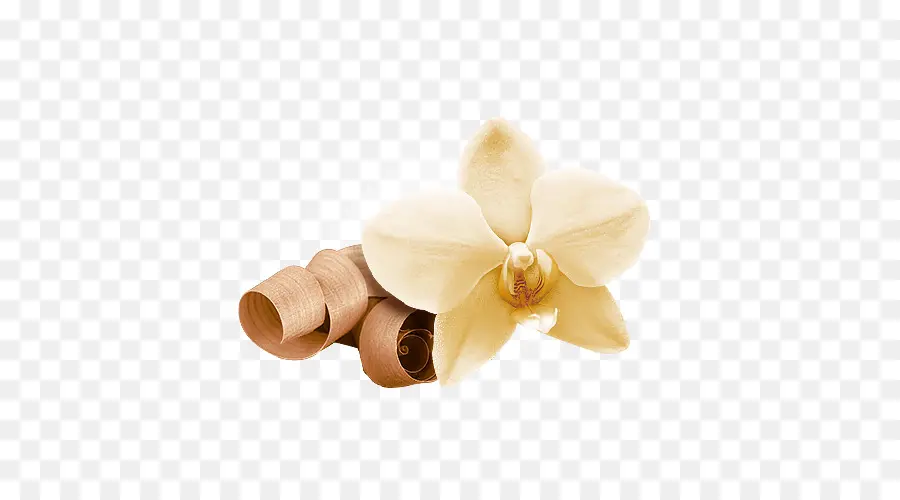 Fleur Et Gousses De Vanille，Pimenter PNG