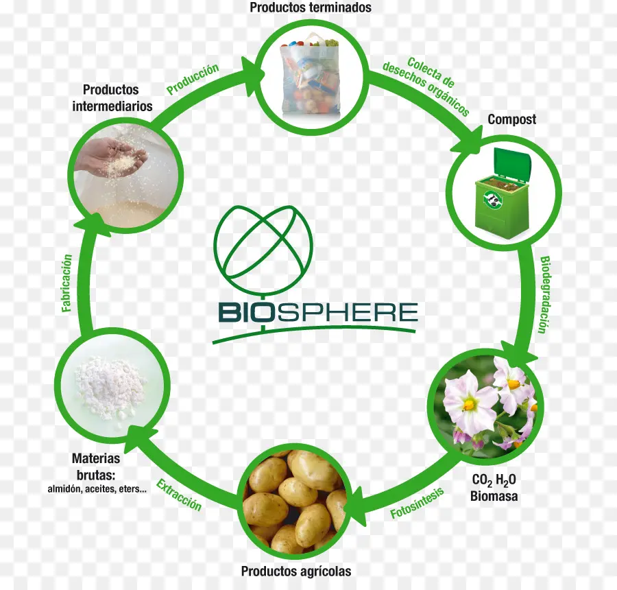 Cycle De La Biosphère，écosystème PNG