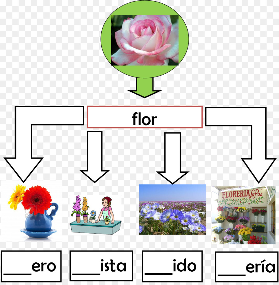 Carte De Mots De Fleurs，Fleur PNG