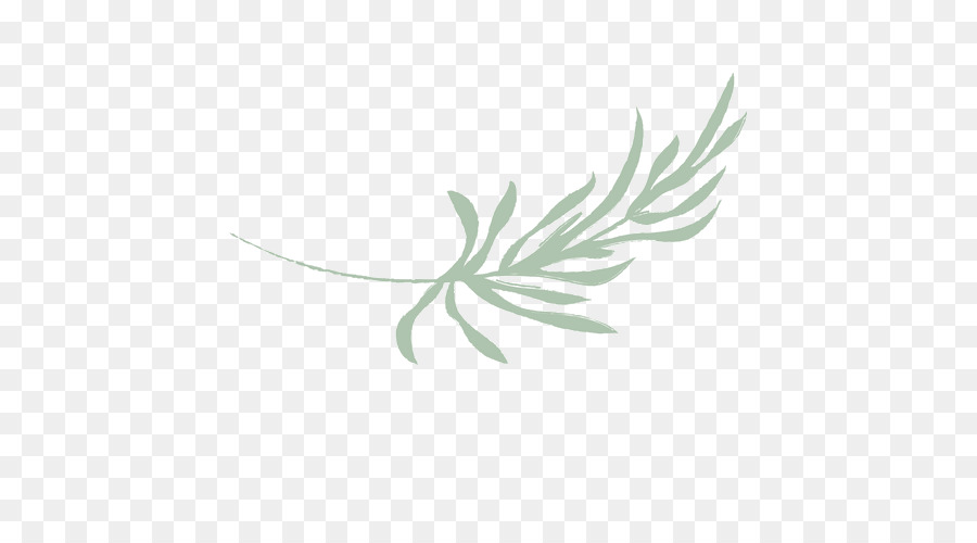 Feuille，Vert PNG