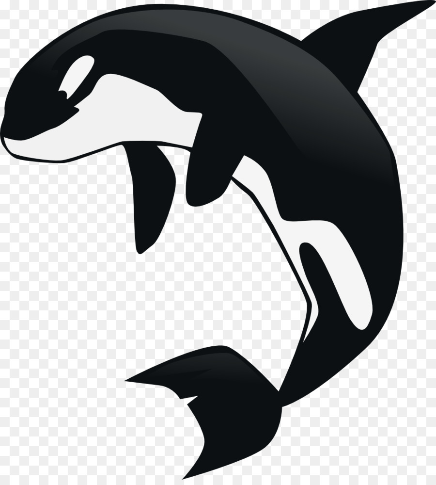 Orque，Baleine PNG