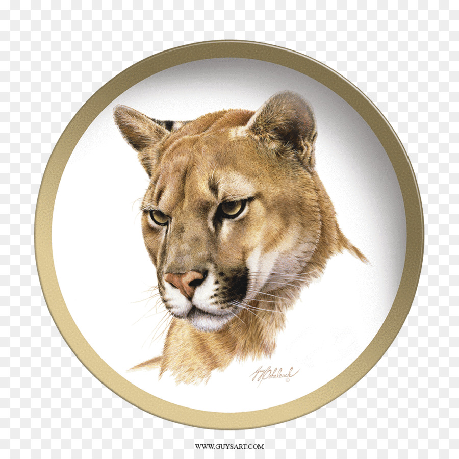 Cougar，Tigre PNG