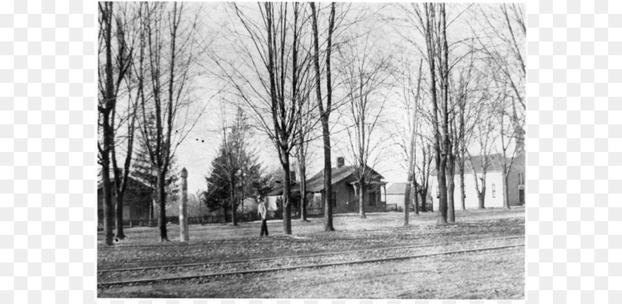 Worthington Historique De La Société，Visite à Pied à Walnut Grove Cemetery PNG