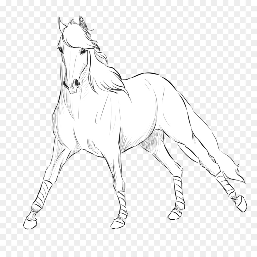 Dessin De Cheval，Animal PNG