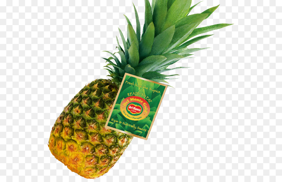 Ananas，Tropical PNG