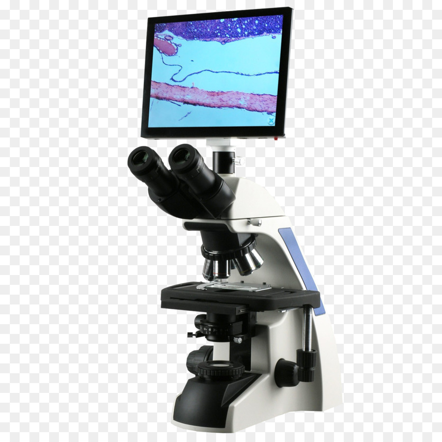 Microscope，Science PNG