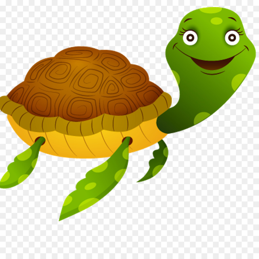 Tortue Verte，Coquille PNG