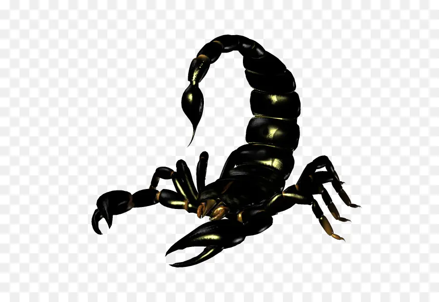 Scorpion，Scorpion Empereur PNG