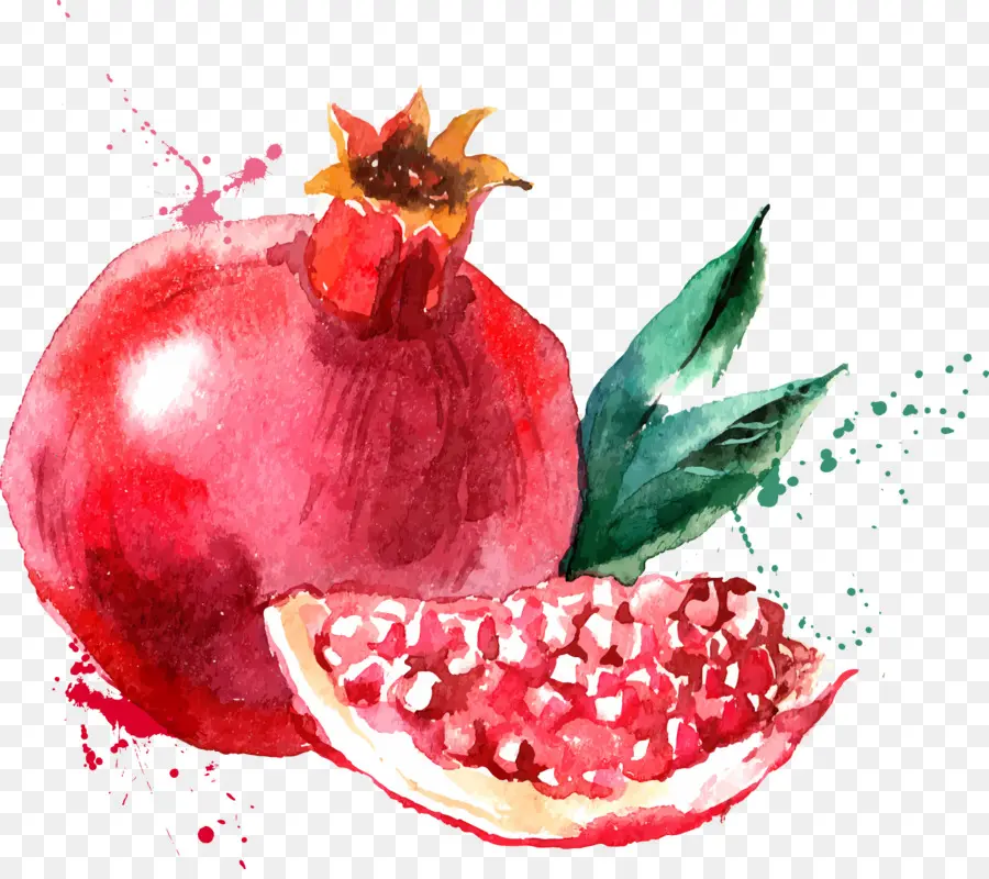 Peinture à L Aquarelle，Fruits PNG