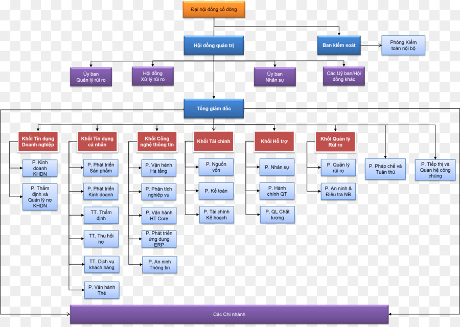 Organigramme，Structure PNG