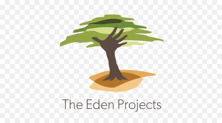Eden Des Projets De Reforestation，Le Reboisement PNG