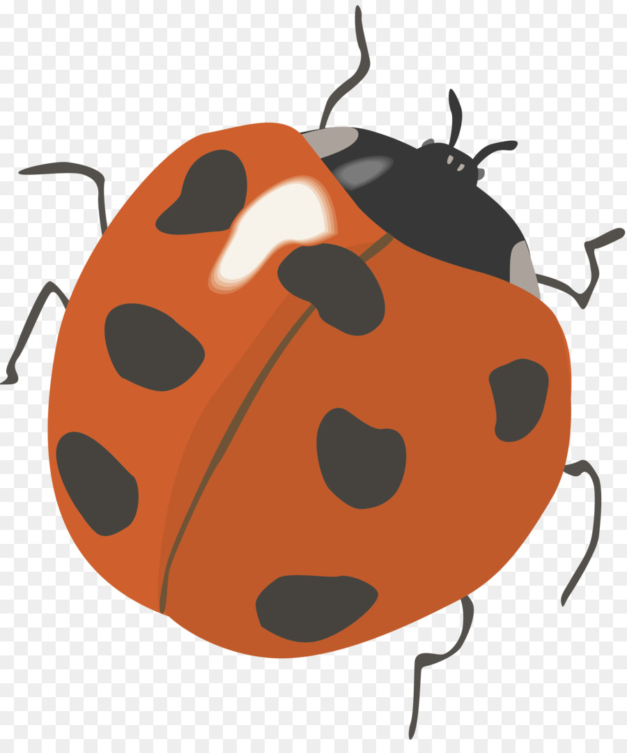 Coccinelle，Bogue PNG