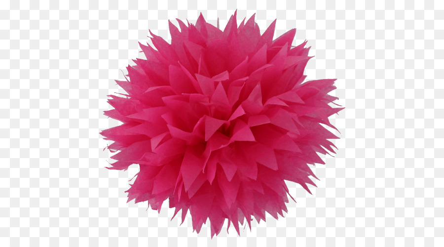 Pompon Rose，Duveteux PNG