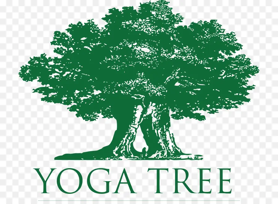 Arbre De Yoga，Arbre PNG