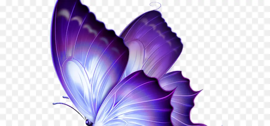 Papillons Bleus，Ailes PNG