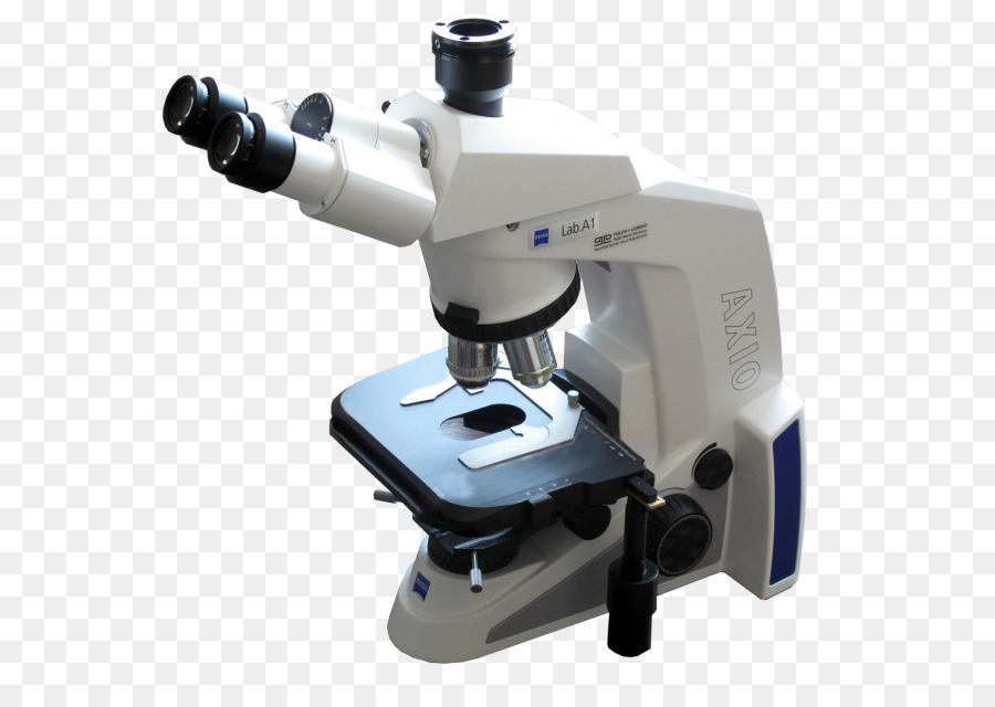 Microscope，Carl Zeiss Ag PNG