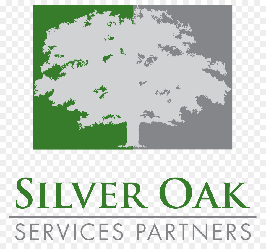 Silver Oak Partners Services Llc，Partenaires Du Forum Forum PNG