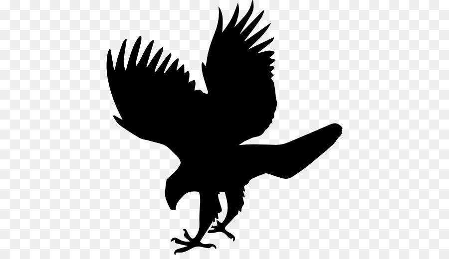 Aigle Silhouette，Faucon PNG