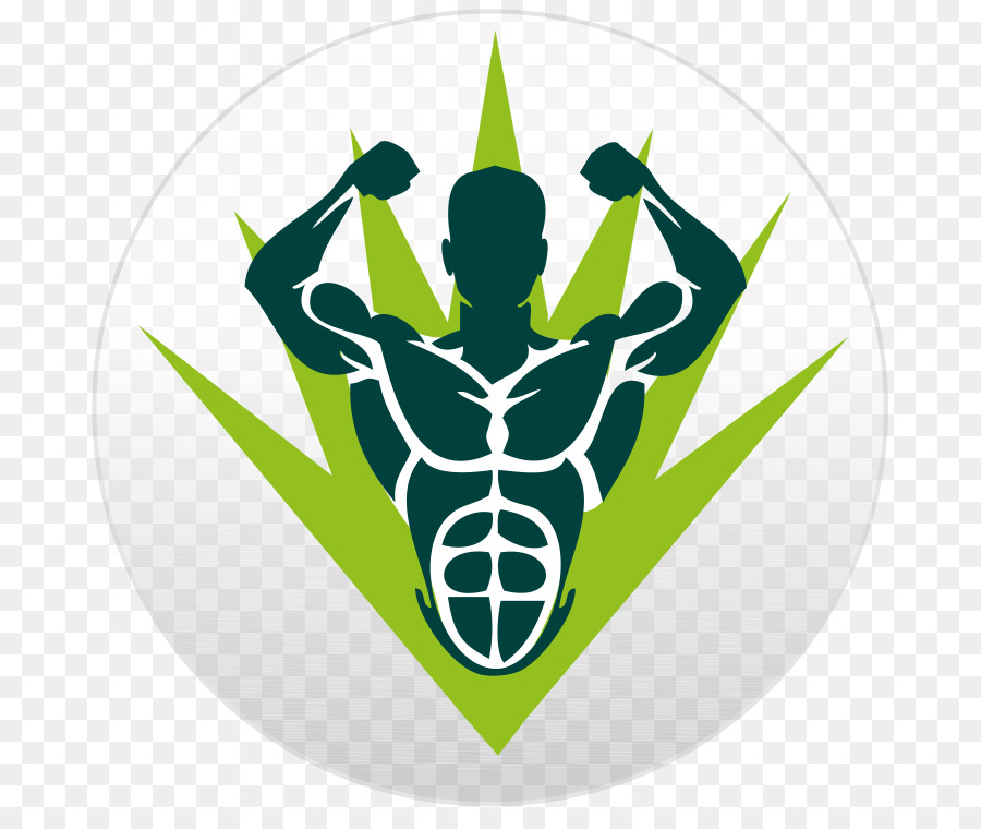 Le Tissu Musculaire，Muscle PNG