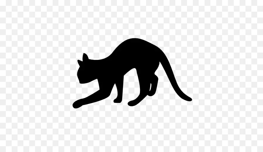 Chat Noir，Animal De Compagnie PNG