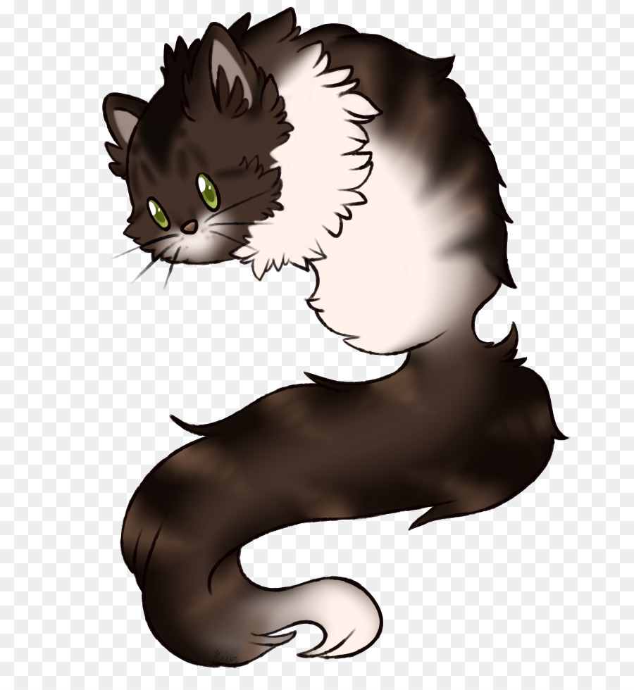 Chat Noir Et Blanc，Animal De Compagnie PNG